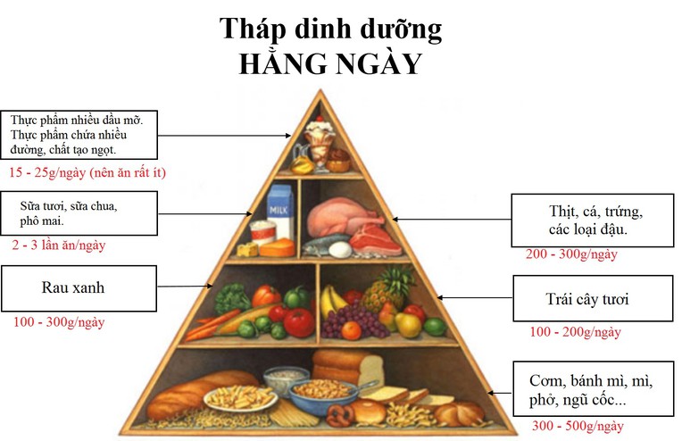 thap-dinh-duong